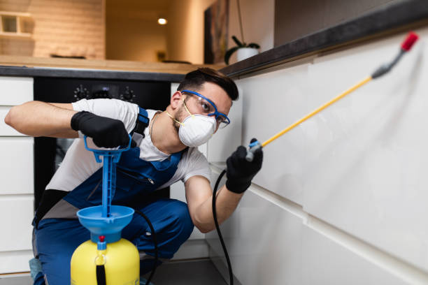 Best Pest Inspection Near Me  in Shallowater, TX