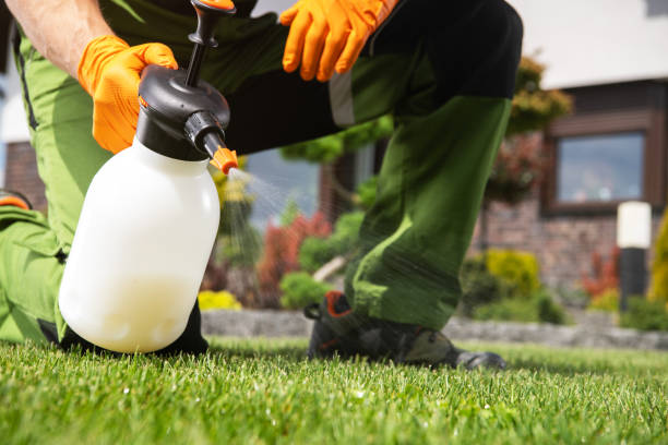 Flea Control Services in Shallowater, TX