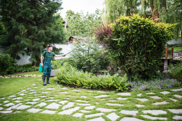 Best Pest Control for Homes  in Shallowater, TX