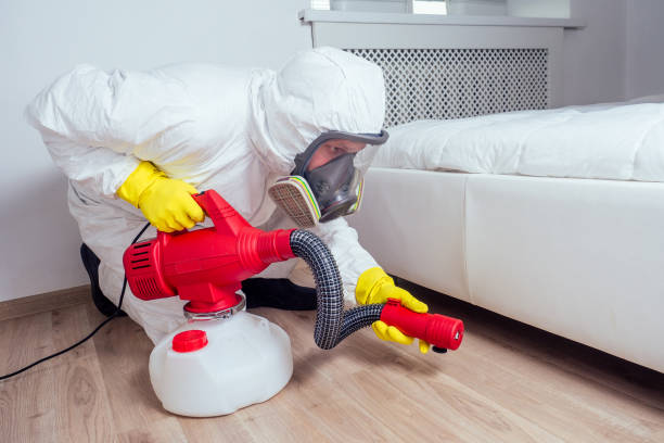 Best Local Pest Control Services  in Shallowater, TX