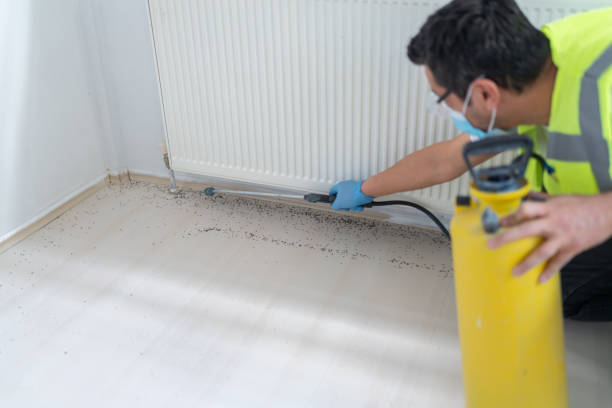 Best Commercial Pest Control Services  in Shallowater, TX