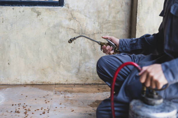 Best Pest Removal Services  in Shallowater, TX