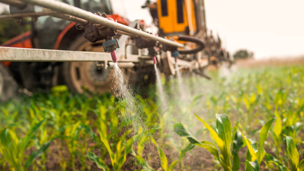 Insect Control in Shallowater, TX